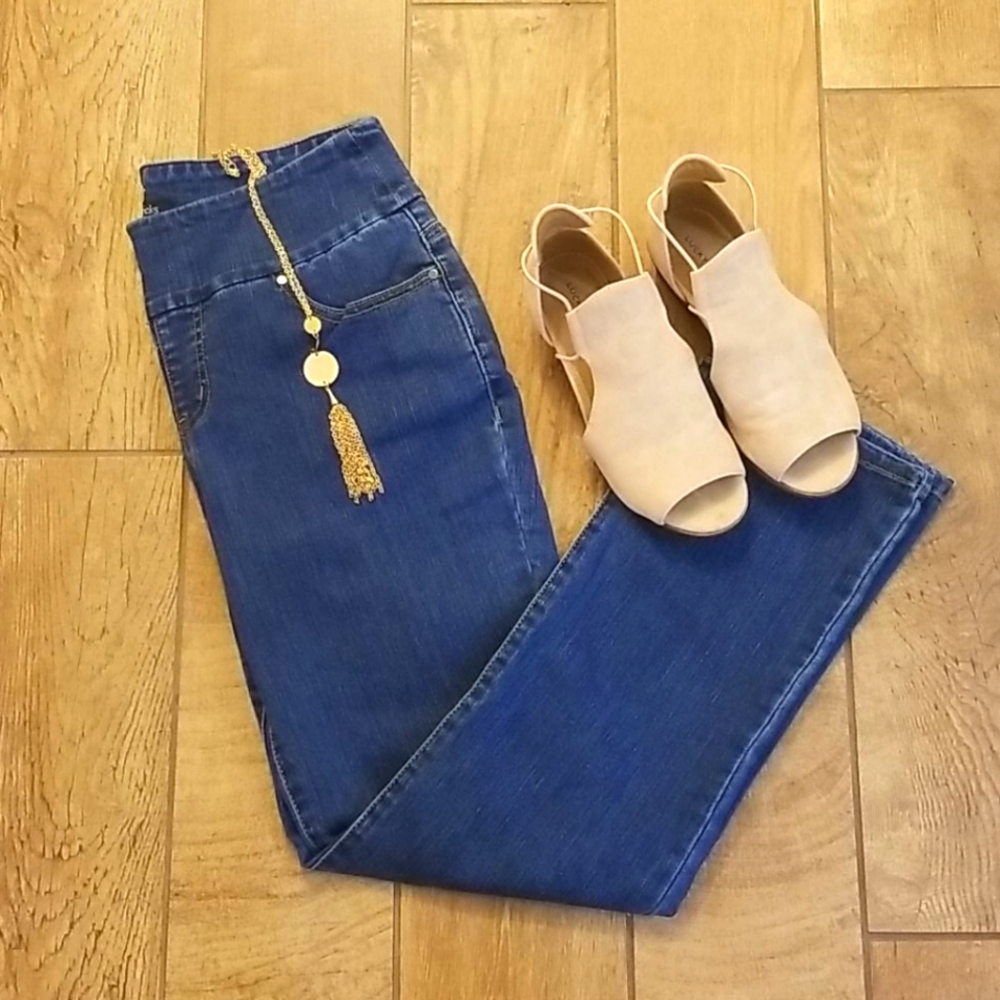 Chadwicks Petite Stretch Jeans NWT